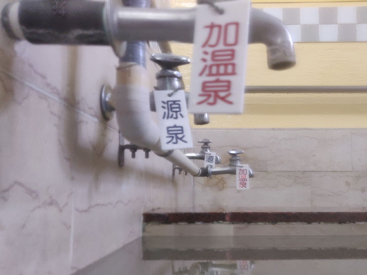 2020/6/20 椿温泉 しらさぎ